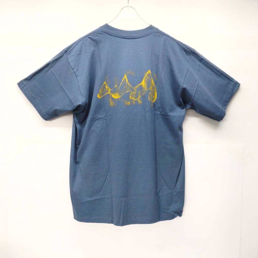 松本市 古着買取 | パタゴニア Tシャツ 写真2